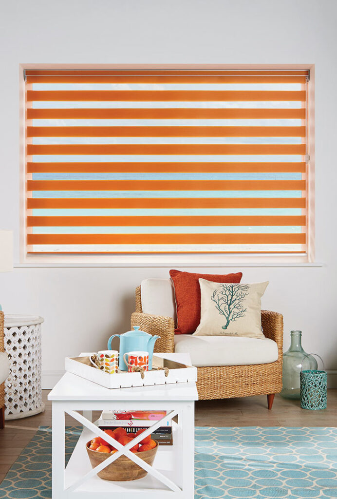 Vision day and night blinds in Essex